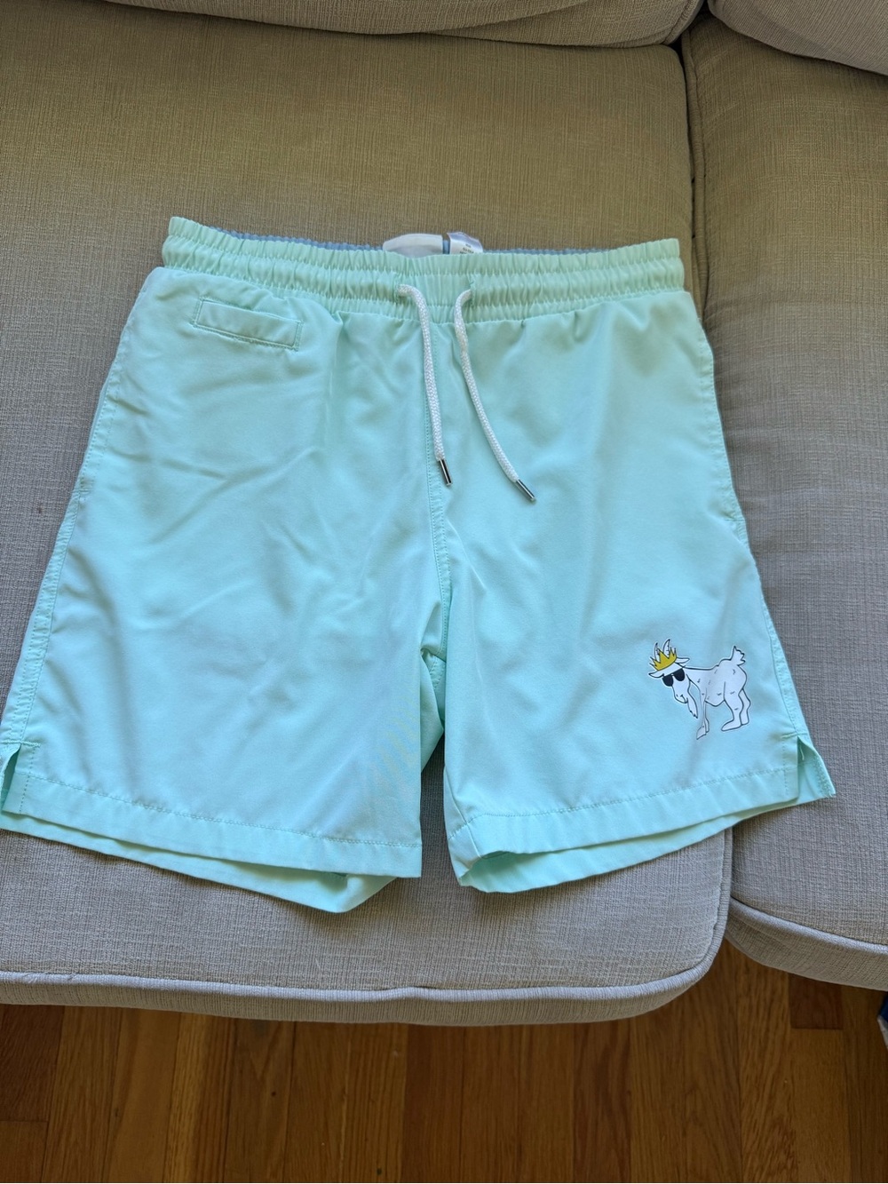 Kids Mint Green Swim Trunks with Playful Dog Graphic